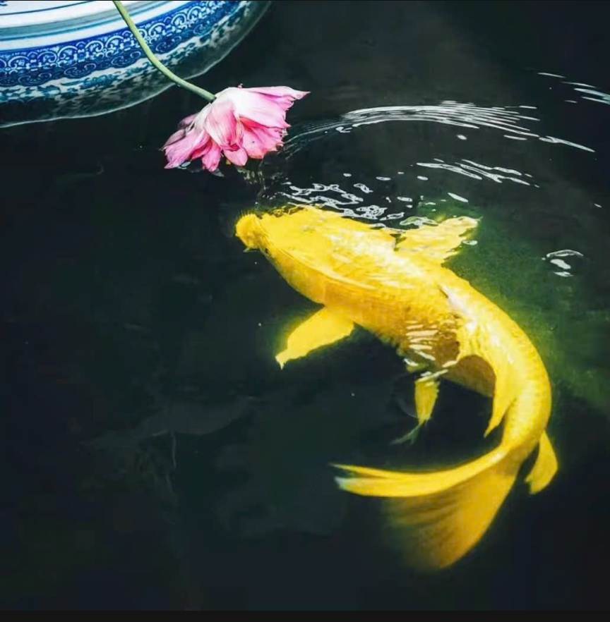 Công cụ hỗ trợ cờ vua